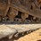 caterpillar-320-image-76