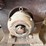 #53504-•-field-industrial-band-saw-77697-inv#53504-image-7