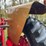 1970-656-farmall-hydro-diesel-row-crop-golden-demonstrator-image-40