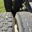 #25407-•-2005-volvo-vhd-quad-axle-dump-truck-image-120