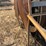 #54008-•-wadsworth-water-pump-inv#54008-image-17