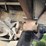 #25407-•-2005-volvo-vhd-quad-axle-dump-truck-image-40