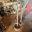 #53521-•-delta-shop-master-bench-grinder-inv#53521-image-4