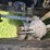 #25407-•-2005-volvo-vhd-quad-axle-dump-truck-image-57