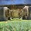 #25407-•-2005-volvo-vhd-quad-axle-dump-truck-image-51