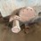 #53538-•-gear-reduction-box-inv#53538-image-6