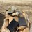#53482-•-lot-of-spray-nozzle,-electrical-panel-parts,-etc-inv#53482-image-8
