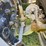 #25407-•-2005-volvo-vhd-quad-axle-dump-truck-image-58