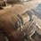 #53523-•-lot-of-grinder-and-band-saw-inv#53523-image-9