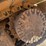 caterpillar-320-image-68