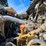 #25407-•-2005-volvo-vhd-quad-axle-dump-truck-image-60