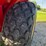 ez-trail-860-image-6
