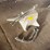 #53528-•-anvil-inv#53528-image-2