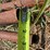 #54006-•-lot-of-(~68)-1"-x-7'-pipes-inv#54006-image-8