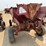 case-ih-100-image-5