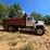 1986-ford-lt8000-image-13