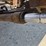 #25415-•-rosco-sweeper-broom-image-61