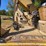caterpillar-320-image-43