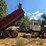 1986-ford-lt8000-image-22