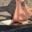 #25417-•-eagle-30x50-conveyor-image-37