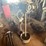 #53521-•-delta-shop-master-bench-grinder-inv#53521-image-3