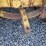 john-deere-440-image-17