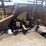 #54008-•-wadsworth-water-pump-inv#54008-image-11