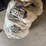 #53506-•-pig-spill-containment-booms-inv#53506-image-1