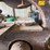 #53504-•-field-industrial-band-saw-77697-inv#53504-image-11