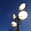 allmand-bros-night-lite-pro-image-19