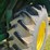 ez-trail-700-image-9