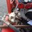 massey-ferguson-265-image-22