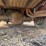 1993-ford-f250-image-13