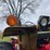 1970-farmall-826-diesel-row-crop-golden-demonstrator-image-52