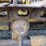 john-deere-440-image-14