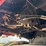 2024-case-ih-9250-image-11