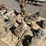 pallet-of-asst-concrete-statues-image-4