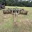 john-deere-630-image-9