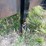 #1307-•-1984-diamond-equipment-flatbed-trailer-(has-mn-title)-image-10