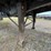 2004-brute-wilson-road-image-22