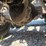 2005-peterbilt-379-image-72