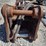 allied-rammer-br2518-hyd-breaker-image-6