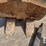 excavator-grapple-image-5
