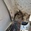 2022-bobcat-t770-image-73