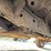 2007-dodge-ram-1500-image-21