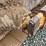 caterpillar-d6t-lgp-image-22