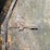 #1311-•-flatbed-trailer-(no-title-parts-only-trailer)-image-17