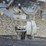 2005-peterbilt-379-image-49