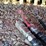 #26869-•-lot-26869-image-12
