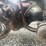 #61464-•-2007-volvo-vnl-sleeper-cab-truck-tractor-image-38